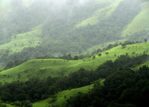 western ghat